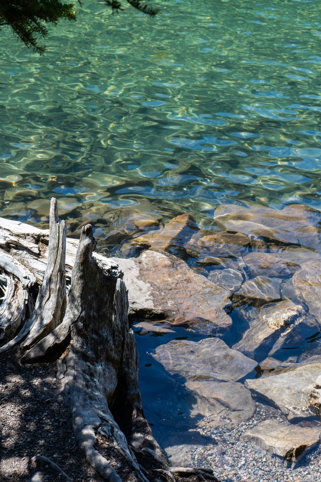 The Lake Agnes Tea House Trail