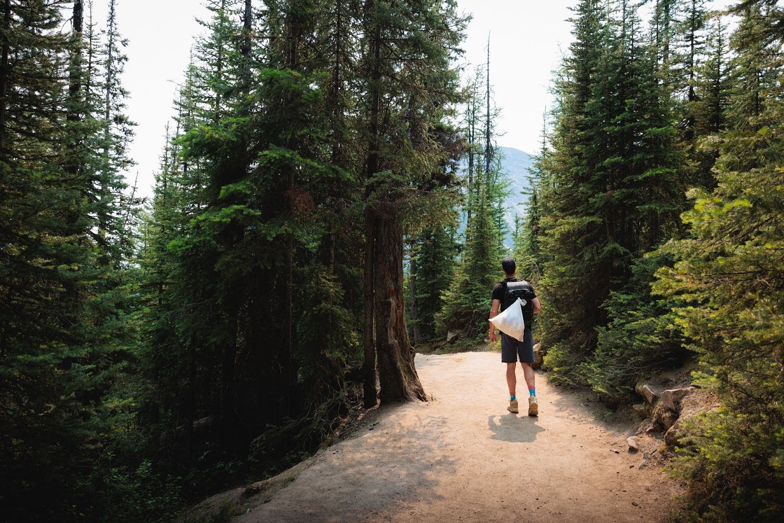  Lake Agnes Tea House Hike