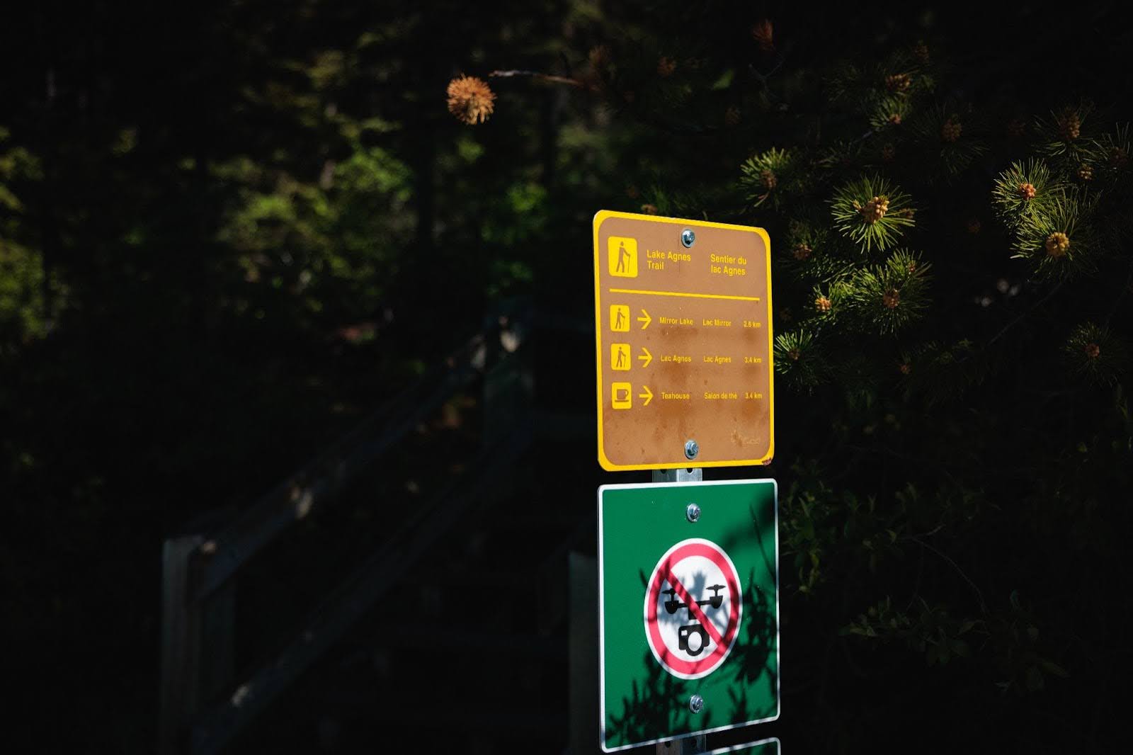 The Lake Agnes Tea House Trail