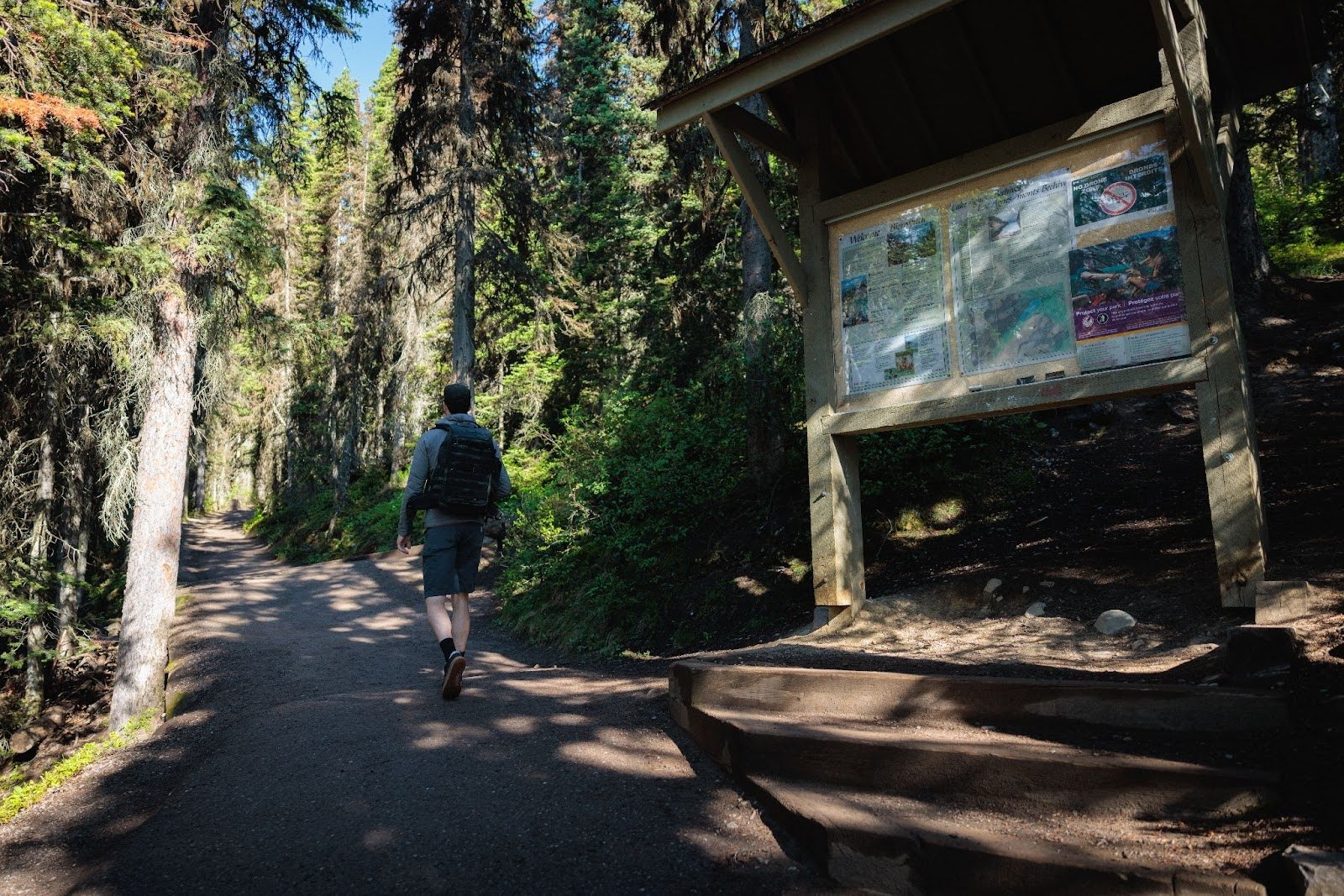The Lake Agnes Tea House Trail